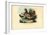 Chicken, 1863-79-Raimundo Petraroja-Framed Giclee Print