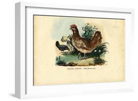 Chicken, 1863-79-Raimundo Petraroja-Framed Giclee Print