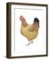 Chicken, 2012-Ele Grafton-Framed Giclee Print