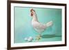Chicken and Eggs, Retro-null-Framed Premium Giclee Print