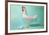 Chicken and Eggs, Retro-null-Framed Premium Giclee Print