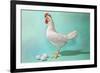 Chicken and Eggs, Retro-null-Framed Premium Giclee Print