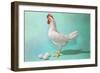 Chicken and Eggs, Retro-null-Framed Art Print