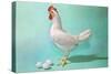 Chicken and Eggs, Retro-null-Stretched Canvas