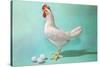 Chicken and Eggs, Retro-null-Stretched Canvas