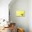 Chicken and Eggs-null-Stretched Canvas displayed on a wall