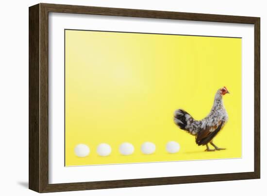 Chicken and Eggs-null-Framed Photographic Print