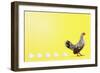 Chicken and Eggs-null-Framed Photographic Print