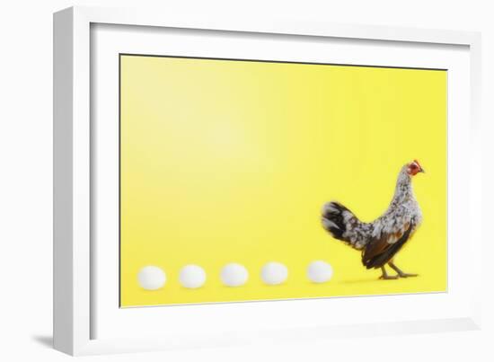 Chicken and Eggs-null-Framed Photographic Print
