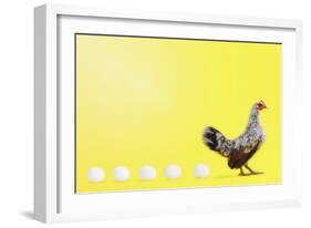 Chicken and Eggs-null-Framed Photographic Print