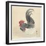 Chicken and Rooster, 1900-36 (Colour Woodcut)-Ohara Koson-Framed Giclee Print