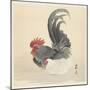 Chicken and Rooster, 1900-36 (Colour Woodcut)-Ohara Koson-Mounted Giclee Print