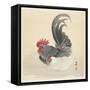 Chicken and Rooster, 1900-36 (Colour Woodcut)-Ohara Koson-Framed Stretched Canvas