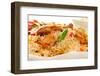 Chicken Biryani-J-highviews-Framed Photographic Print