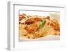 Chicken Biryani-J-highviews-Framed Photographic Print