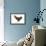 Chicken Black Copper Maran in Studio-null-Framed Photographic Print displayed on a wall