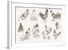 Chicken Breeding-lapuma-Framed Art Print