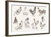 Chicken Breeding-lapuma-Framed Art Print