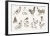 Chicken Breeding-lapuma-Framed Art Print