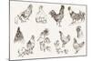 Chicken Breeding-lapuma-Mounted Art Print