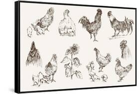 Chicken Breeding-lapuma-Framed Stretched Canvas