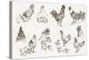 Chicken Breeding-lapuma-Stretched Canvas