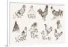 Chicken Breeding-lapuma-Framed Art Print