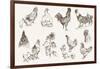 Chicken Breeding-lapuma-Framed Art Print