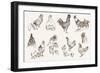 Chicken Breeding-lapuma-Framed Art Print