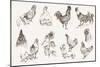 Chicken Breeding-lapuma-Mounted Art Print