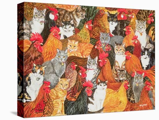 Chicken-Cats-Ditz-Stretched Canvas