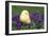 Chicken Chick in Pansies-null-Framed Photographic Print