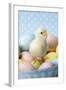 Chicken Chick Sitting on Coloured Eggs-null-Framed Photographic Print