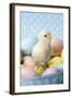 Chicken Chick Sitting on Coloured Eggs-null-Framed Photographic Print