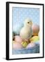 Chicken Chick Sitting on Coloured Eggs-null-Framed Photographic Print