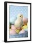 Chicken Chick Sitting on Coloured Eggs-null-Framed Photographic Print