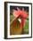 Chicken Cockerel-null-Framed Photographic Print