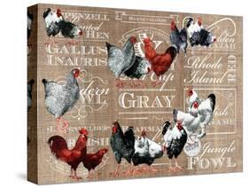 Chicken Collage 1-The Saturday Evening Post-Stretched Canvas