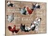 Chicken Collage 1-The Saturday Evening Post-Stretched Canvas