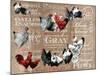 Chicken Collage 1-The Saturday Evening Post-Mounted Giclee Print