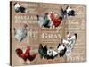 Chicken Collage 1-The Saturday Evening Post-Stretched Canvas