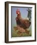 Chicken Family, 2016-Pat Scott-Framed Giclee Print