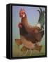 Chicken Family, 2016-Pat Scott-Framed Stretched Canvas