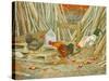 Chicken Feed-Ditz-Stretched Canvas