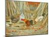 Chicken Feed-Ditz-Mounted Giclee Print