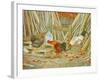 Chicken Feed-Ditz-Framed Giclee Print