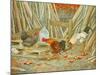 Chicken Feed-Ditz-Mounted Giclee Print