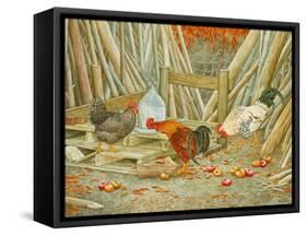 Chicken Feed-Ditz-Framed Stretched Canvas