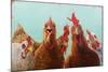 Chicken for Dinner-Lucia Heffernan-Mounted Art Print