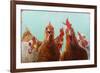 Chicken for Dinner-Lucia Heffernan-Framed Art Print